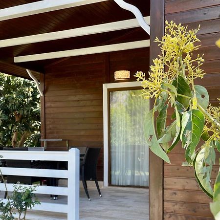 Çıralı Aida Hotel מראה חיצוני תמונה