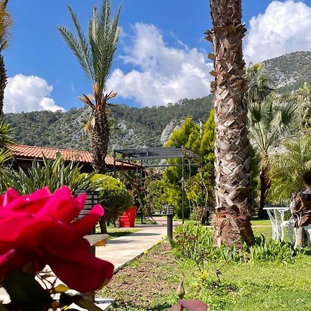 Çıralı Aida Hotel מראה חיצוני תמונה
