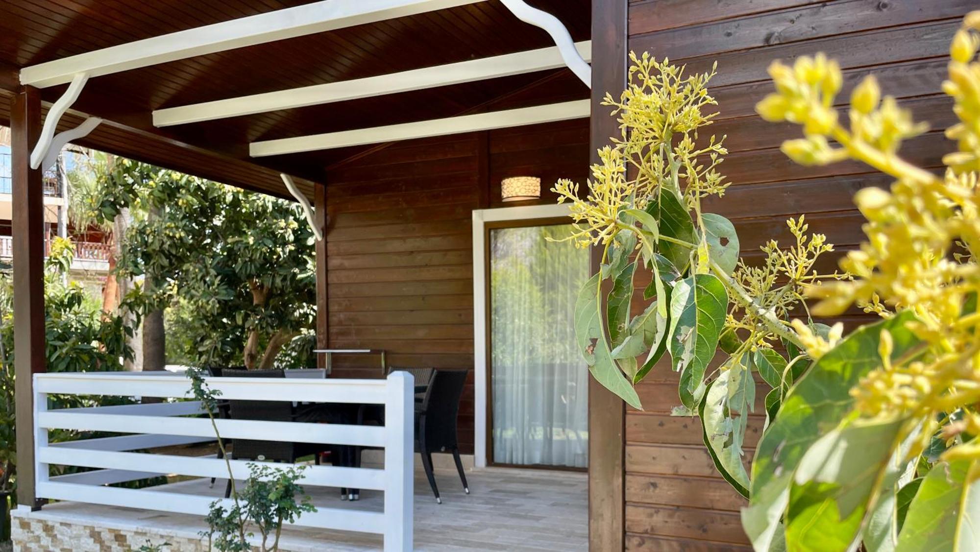 Çıralı Aida Hotel מראה חיצוני תמונה