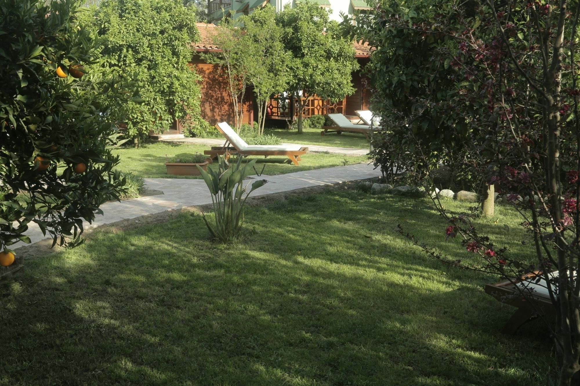 Çıralı Aida Hotel מראה חיצוני תמונה