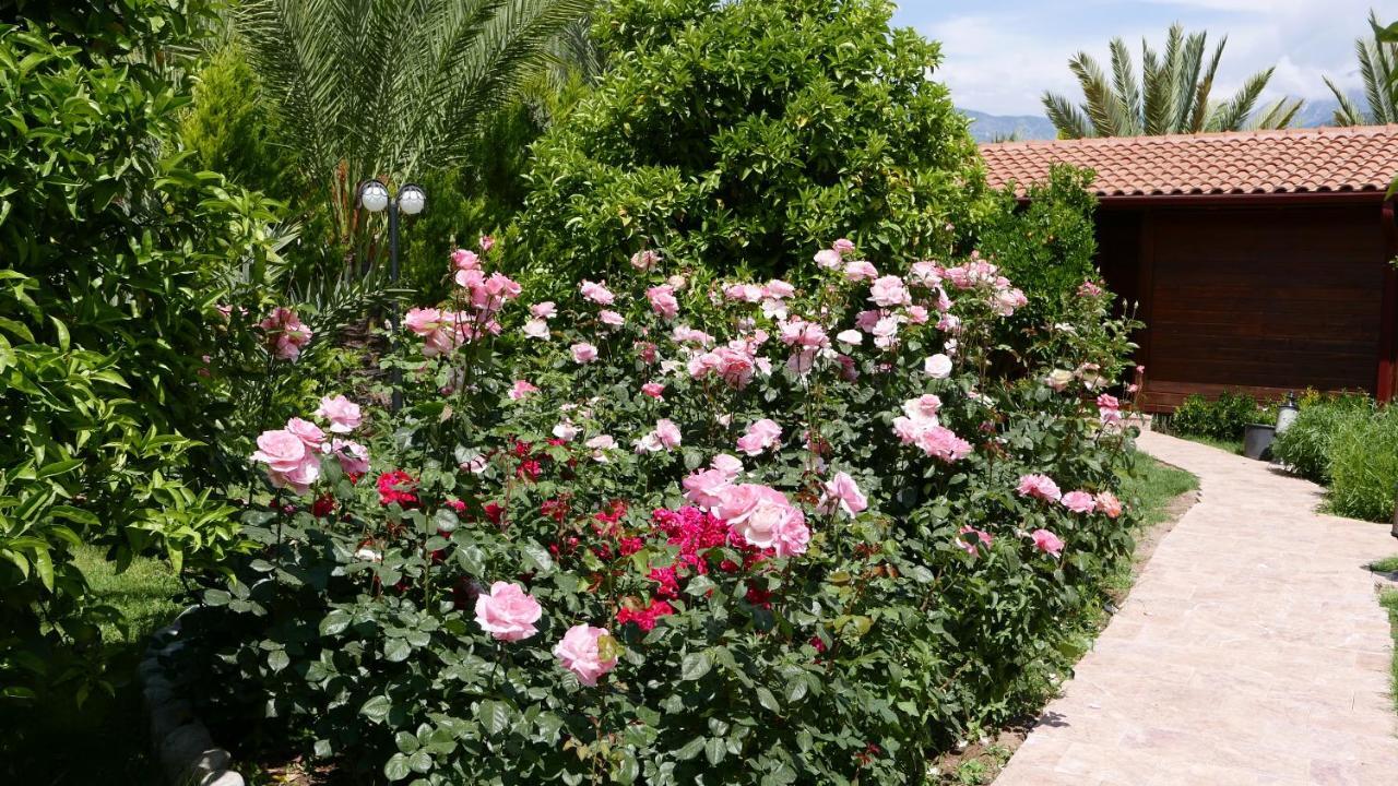 Çıralı Aida Hotel מראה חיצוני תמונה